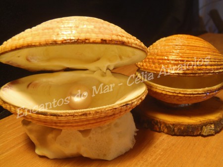 Conchas com Pérolas